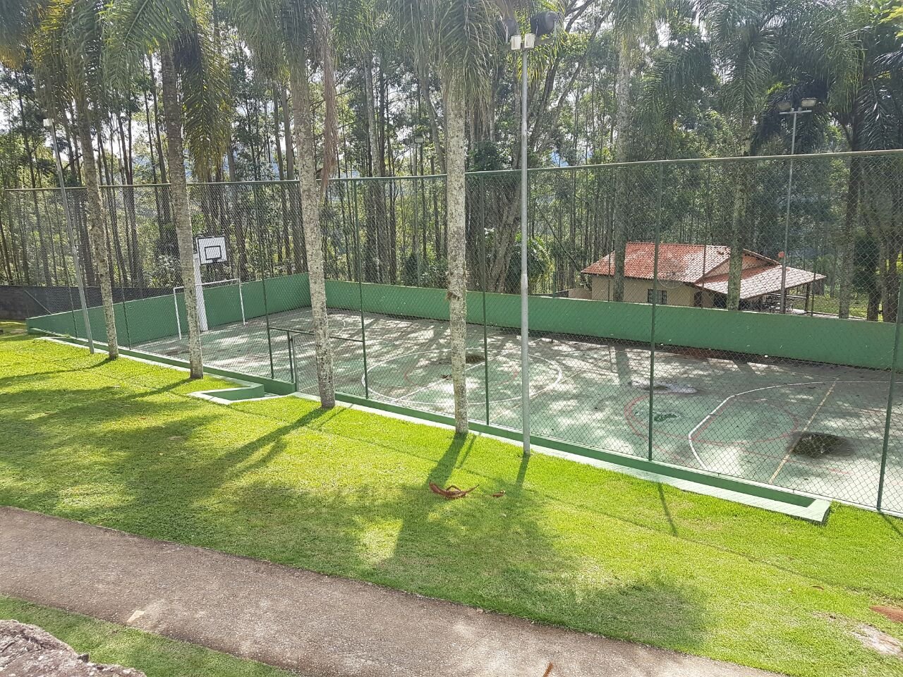 prime - clinicas life